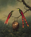Set Yourself Free CD - New Life Awareness Institute